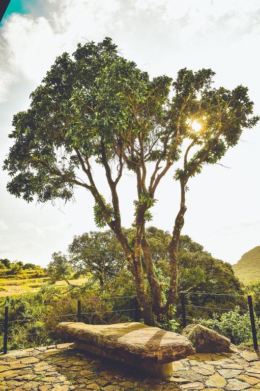 Mountain Villa Riverston Matale Zewnętrze zdjęcie
